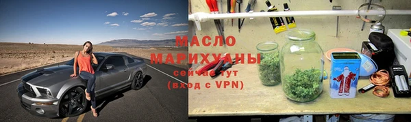 индика Инсар