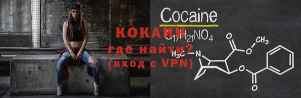 индика Инсар