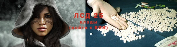 индика Инсар