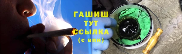 индика Инсар