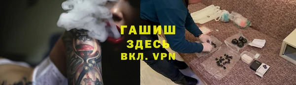 индика Инсар
