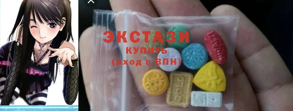 индика Инсар