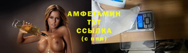 индика Инсар