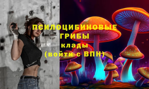 индика Инсар