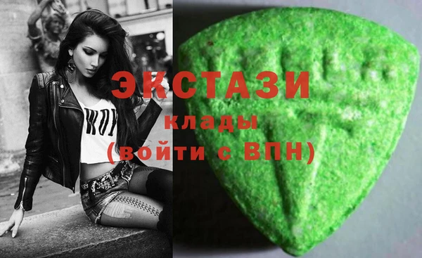 индика Инсар