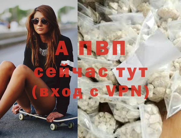 Альфа ПВП Иннополис