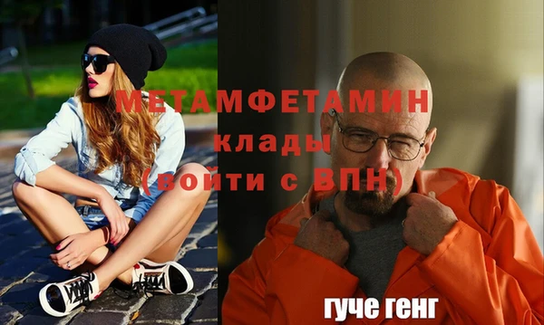 индика Инсар