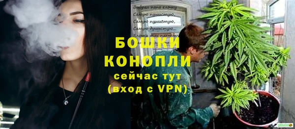 индика Инсар