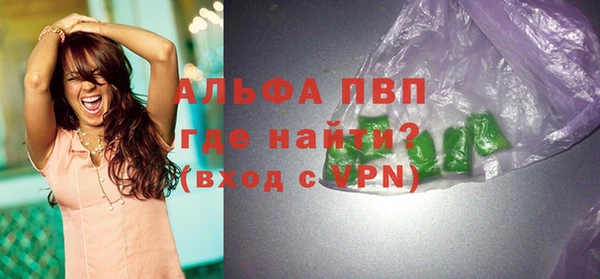 индика Инсар
