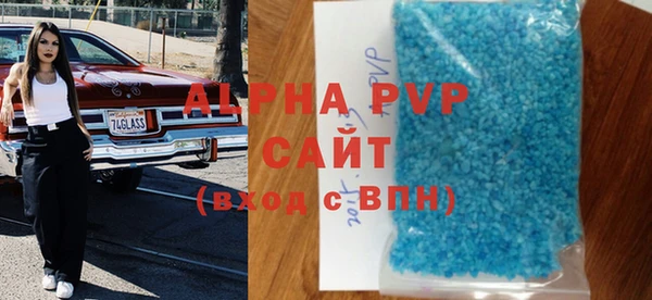 индика Инсар