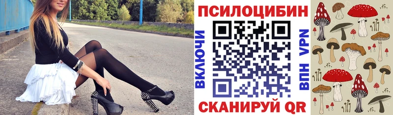 Купить закладки  Каменка  Галлюциногенные грибы Magic Shrooms 